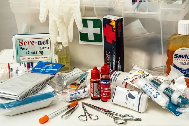 Caixa plástica brabcaaberta e identificada, mostrando um kit emergência canina completo e organizado, pronto para uso após saber como montar."