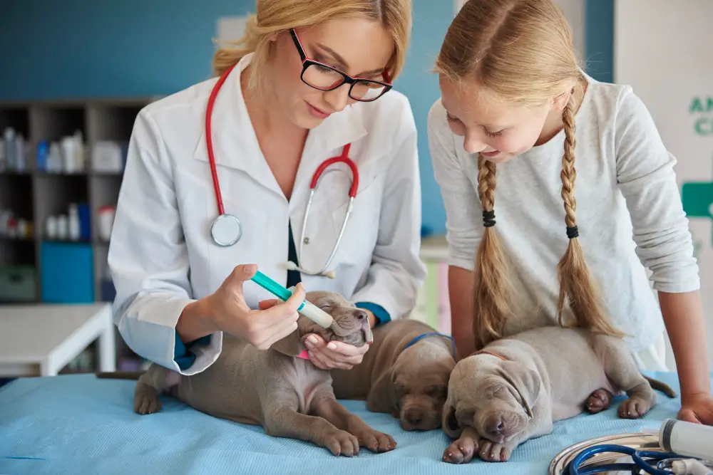 Enfermeira com 3 cães pequenos ensinando uma criança a, aparentemente aplicando algum alimento ou remédio ao cachorro com seringa