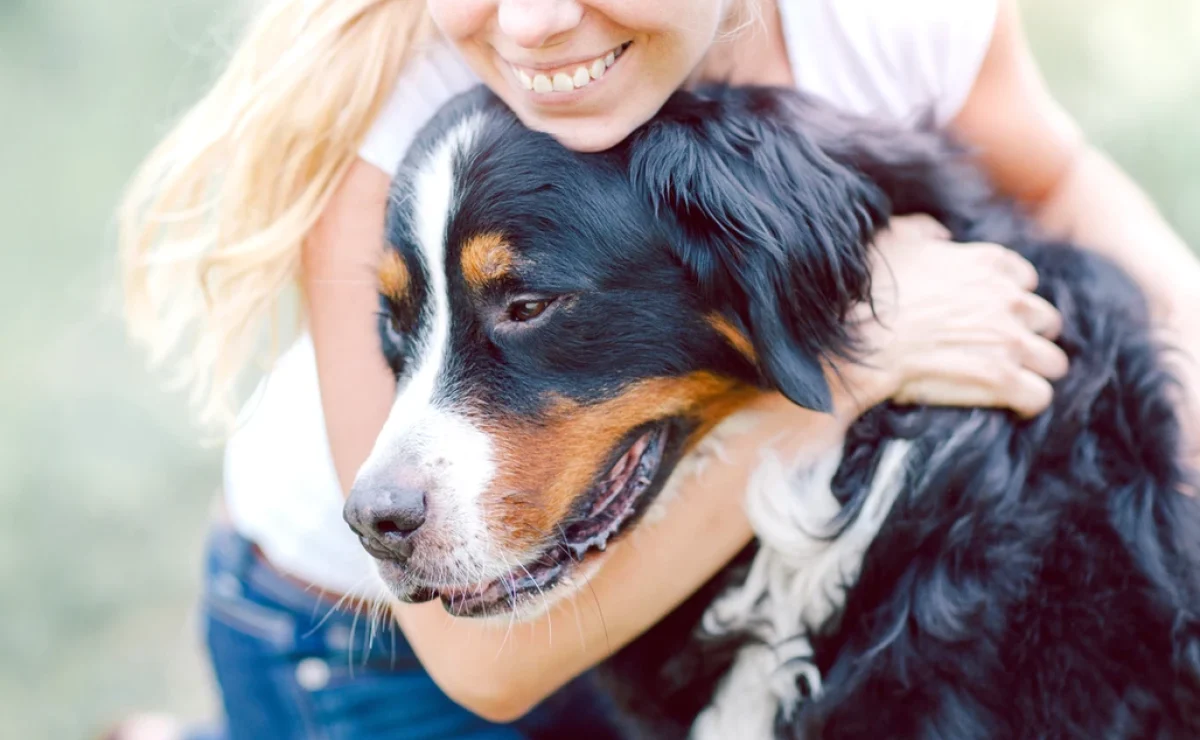 Erros que encurtam a vida do cachorro e como evitar cada um deles